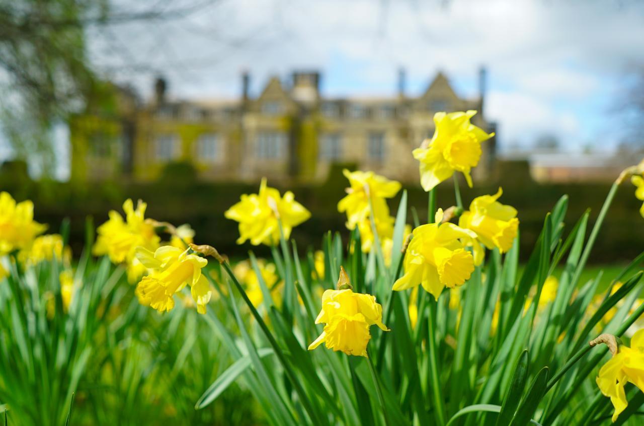Gisborough Hall Hotel Guisborough Esterno foto